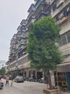 大华二路小区