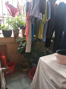 花都紫荆苑