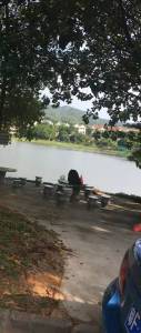 金碧御水山庄