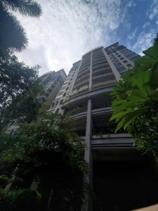 美林轩逸时光