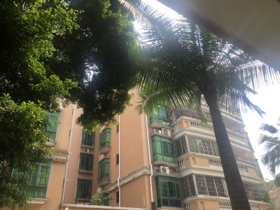 文苑小区