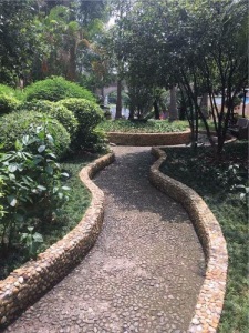 骏辉园