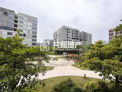 碧桂园空港国际