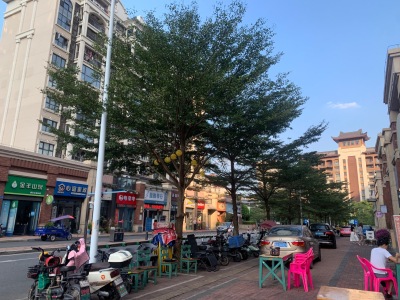 广州融创文旅城