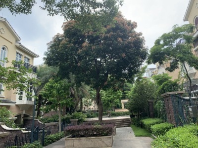 元邦山清水秀
