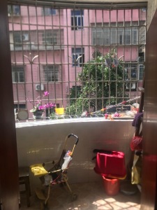 花城苑