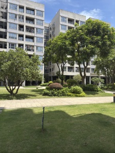 碧桂园空港国际