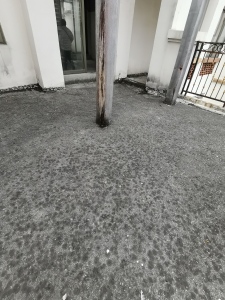富力金港城