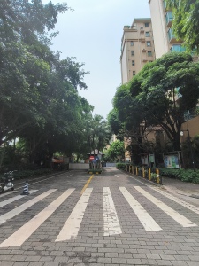 雅居乐花样巴黎