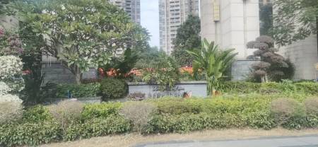 班芙小镇