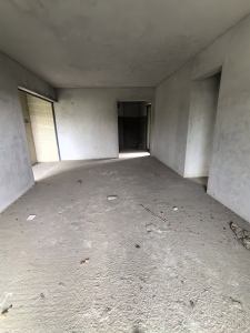 泊岸君庭