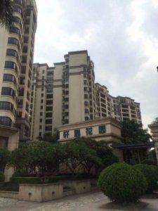 美林轩逸时光