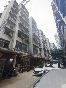 金花园