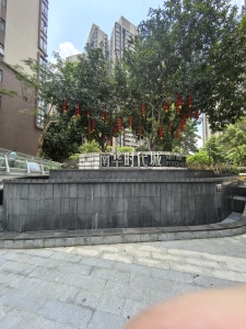 南华时代城