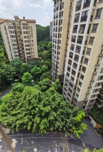 富力金港城