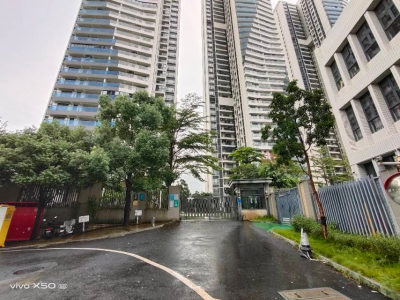 森岛湖