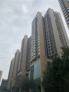 骏威·锦东花园
