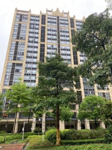 富力金港城