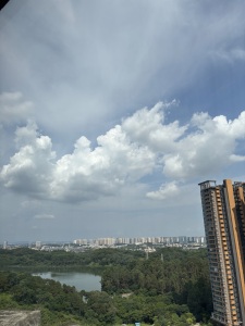 新鸿基御华园