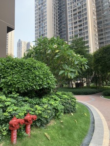 广州融创文旅城