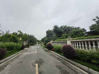 碧桂园假日半岛
