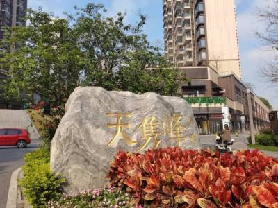 路劲天隽峰