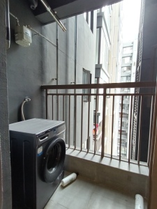 桐悦花园
