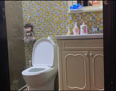 大运家园