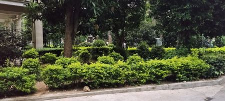 东骏花园