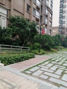 广州融创文旅城