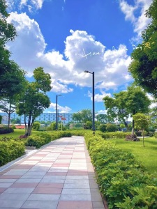 雅居乐万科热橙