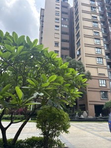 合和新城