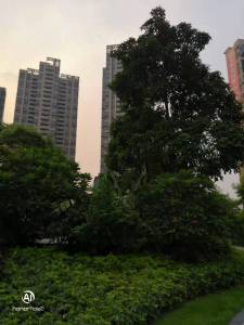 班芙小镇