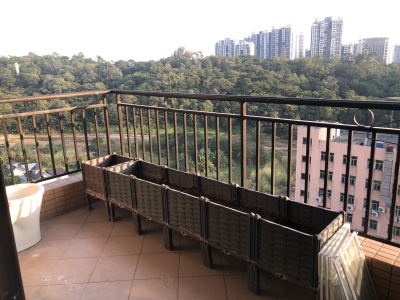新源雅居