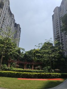 中房观湖国际