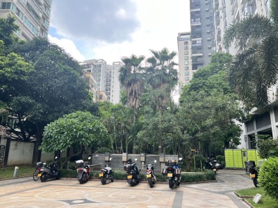 花都小城之春