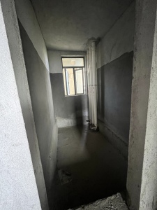 泊岸君庭