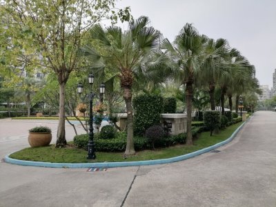 祈福聚龙堡