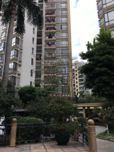云港花园