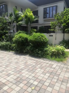 万科兰乔圣菲