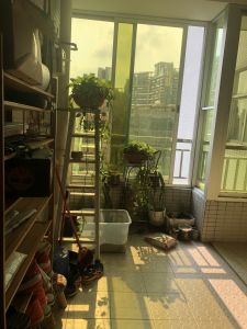 古风大厦