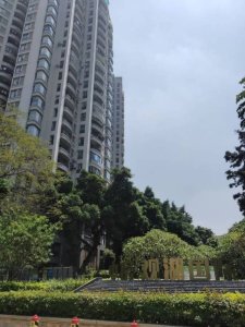 中房观湖国际80万元，性价比高