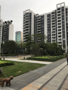 凤凰御景
