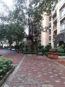 富力金港城