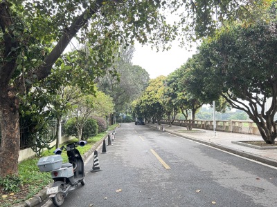 雅宝新城