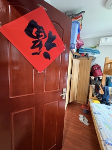 狮城国际