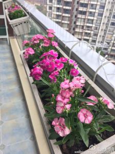 花都颐和山庄
