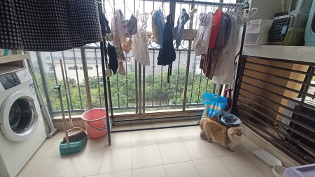 富力金港城