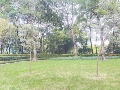 凯旋门(花都)