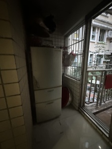 南航花园